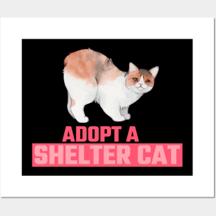 Rescue Cat Adopt a Shelter Cat Posters and Art